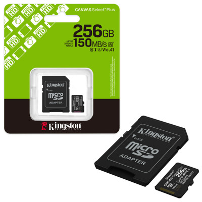Immagine di Kingston memory micro SD Gen3 + adattatore | 256 GB