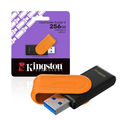 Immagine di Kingston pen drive DTXS 3.2 | 256 GB